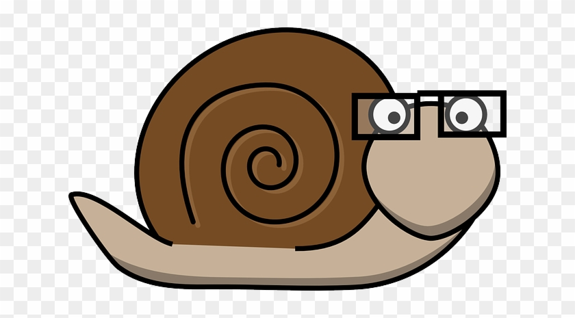 Fix A Slow Computer - Cartoon Snail #564217