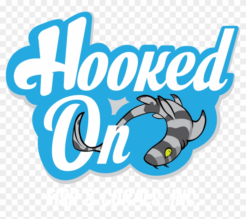 Ball Python Clipart Teal - Hooked On Fish And Corals #564295