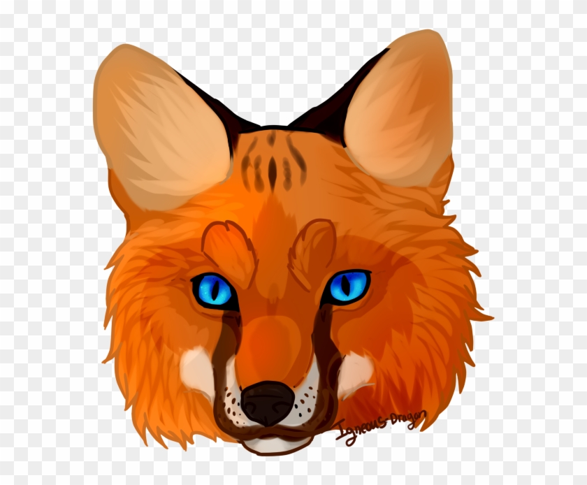 Fox Clipart Fox Face Fox Face Png Free Transparent Png Clipart Images Download