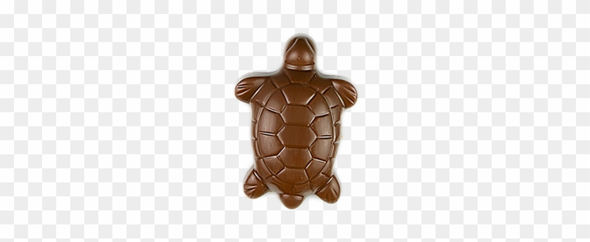 Solid Chocolate Turtles - Chocolate Turtles Png #565763