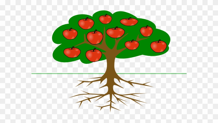 Tree With Fruits Clip Art #566028