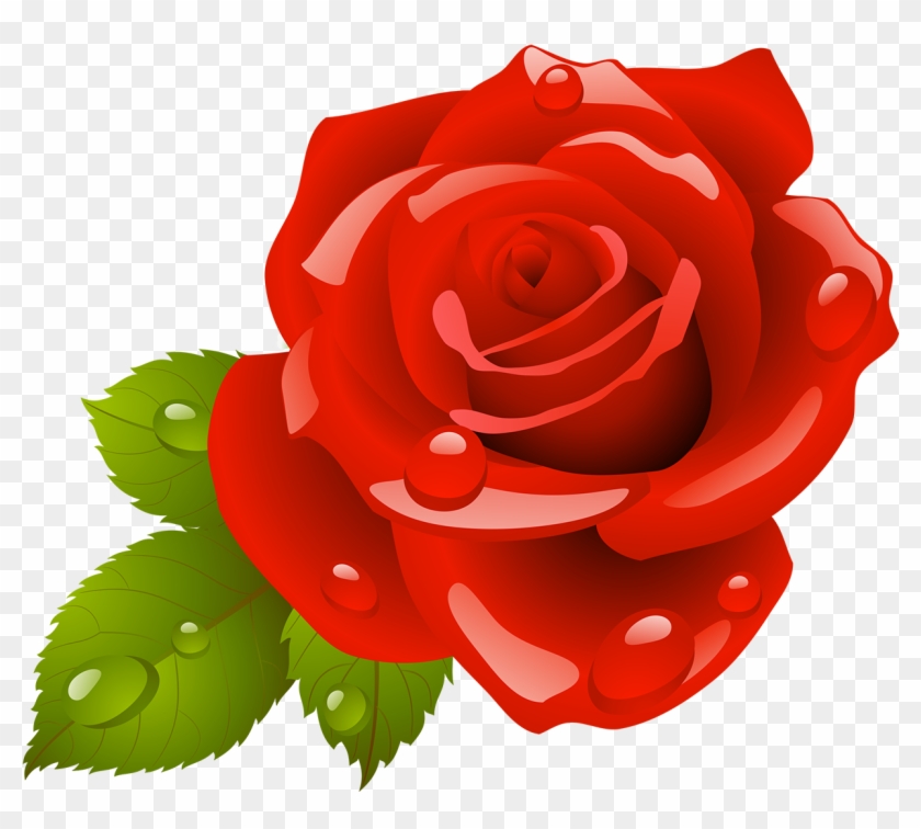 Garden Roses Flower - Garden Roses Flower #566160