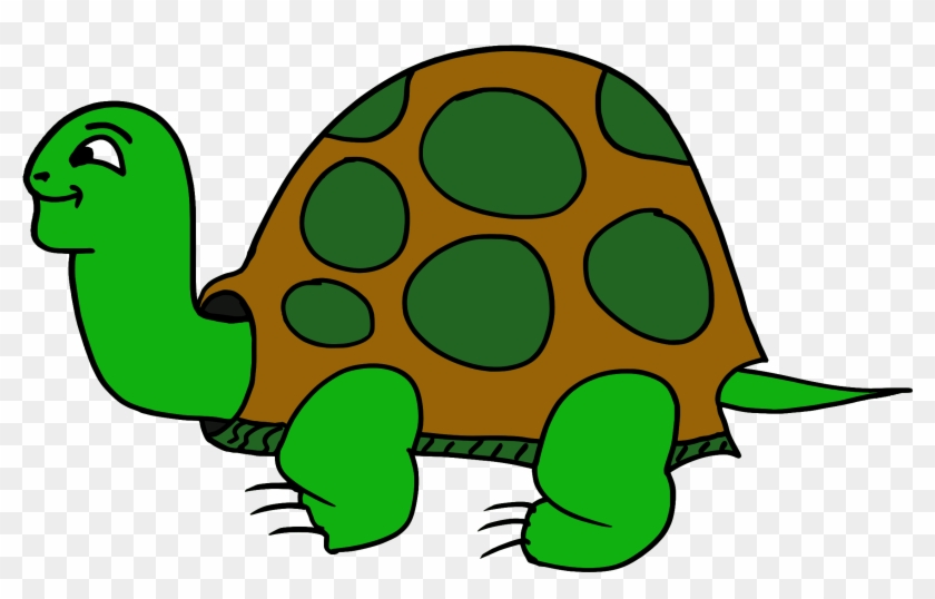 Pictures Of A Cartoon Turtle 7, Buy Clip Art - Animal De Dessin Animé #566190