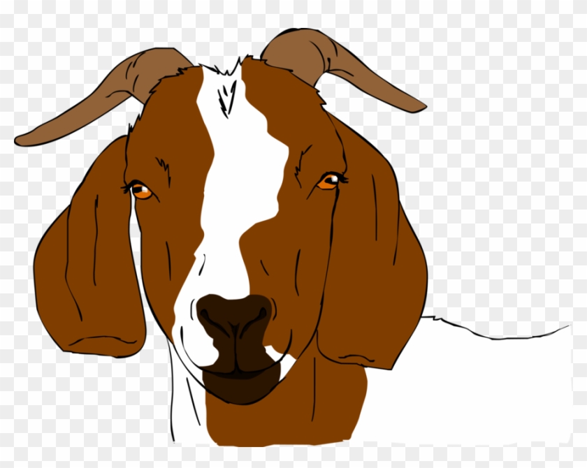 Boer Goat Anglo-nubian Goat Drawing Clip Art - Boer Goat Anglo-nubian Goat Drawing Clip Art #566600