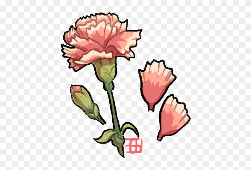 Draw A Flora By Griffsnuff - Carnation #566622