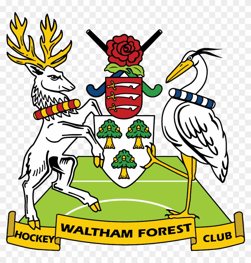 Gallery - Waltham Forest Hockey Club #567071