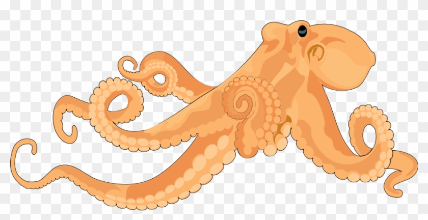 Octopus Clipart Realistic - Transparent Octopus Art #567560