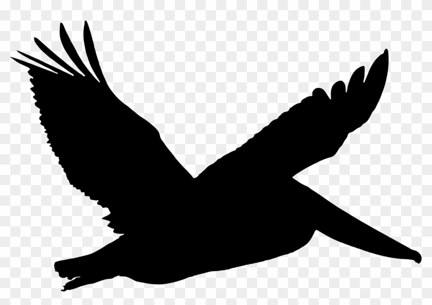 Pelican Clipart Transparent - Pelican Silhouette Png #567659