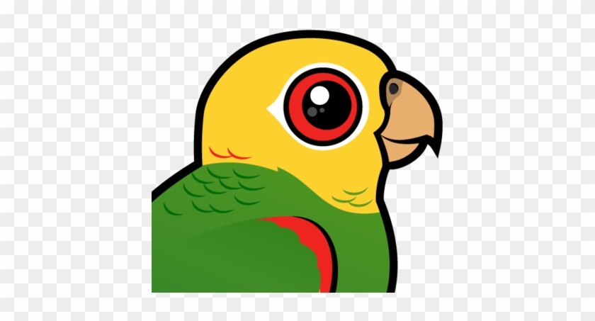 Also Known As - Yellow Head Amazon Png #567684