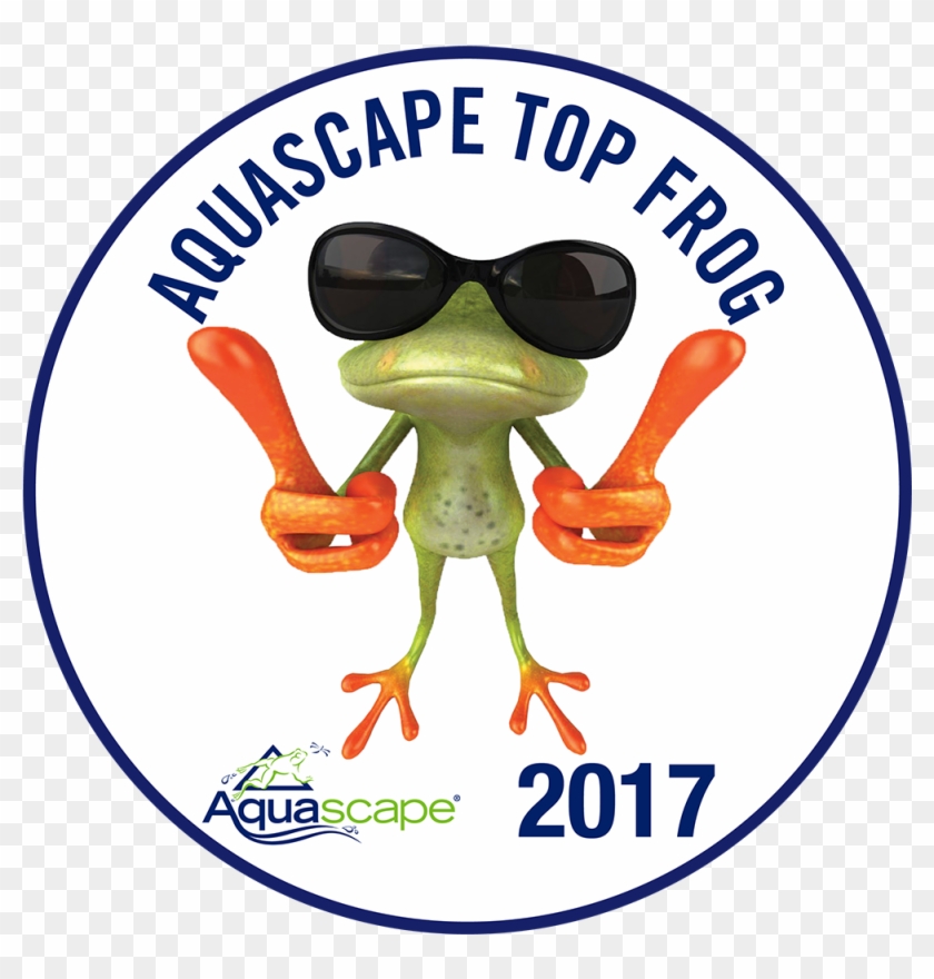 Jardinaquadesign Aquascape Topfrog - Frog Thumbs Up #567723