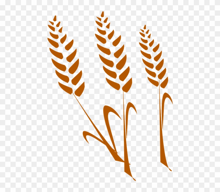 Wheat Vector 23, Buy Clip Art - Wheat #567831