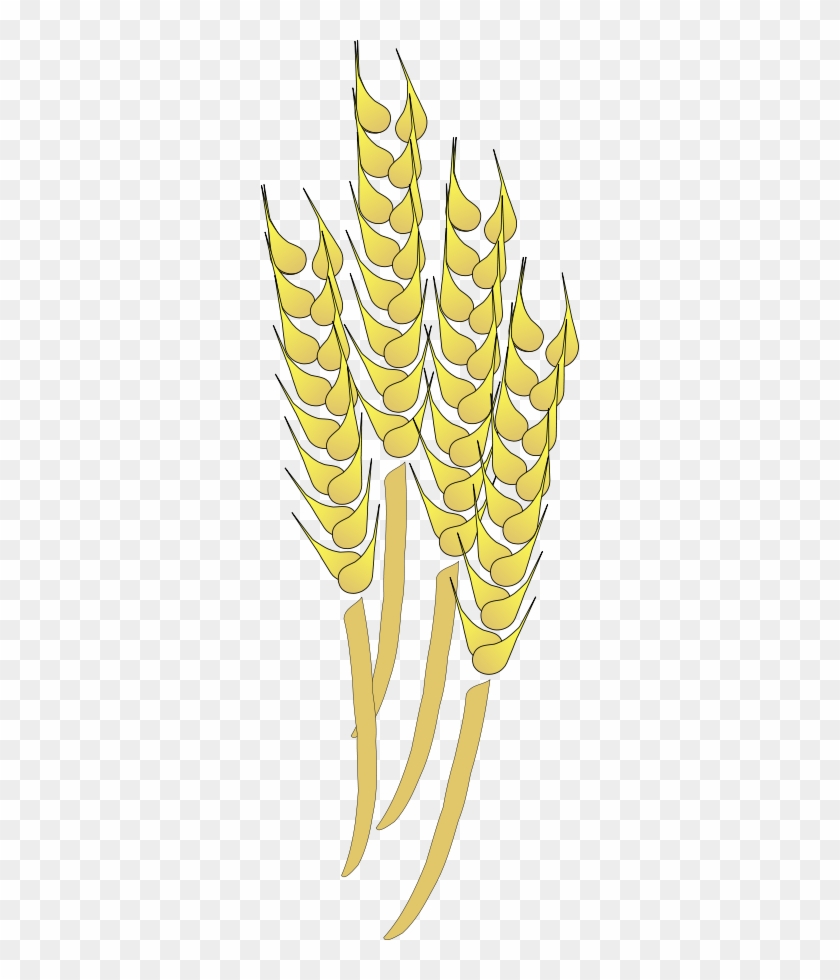 Wheat Png - Wheat Clip Art #567837