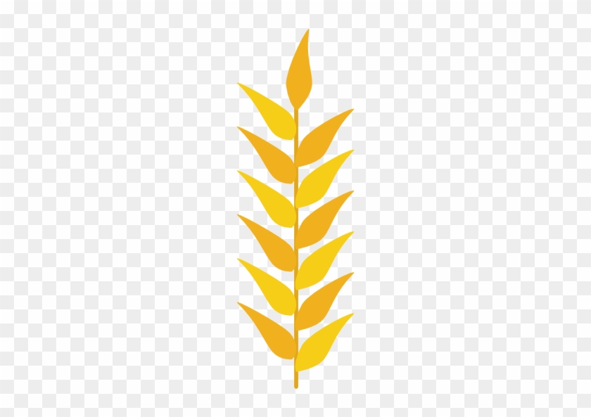 Image Result For Wheat Vector - Dessin Épi De Blé #567864