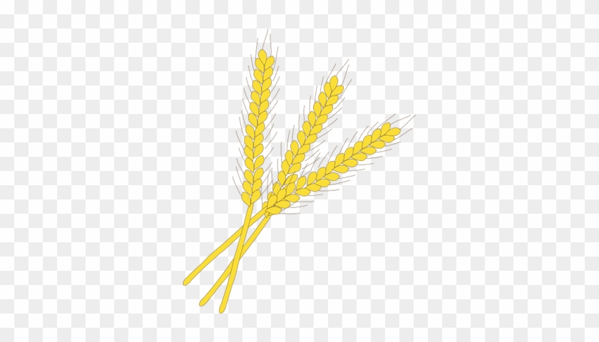 Wheat Svg - Wheat Symbol #567881