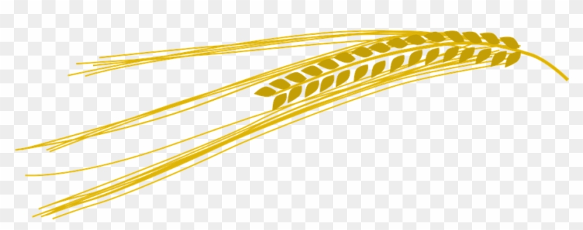 Free Wheat Vector 20, - Barley Clip Art #568032