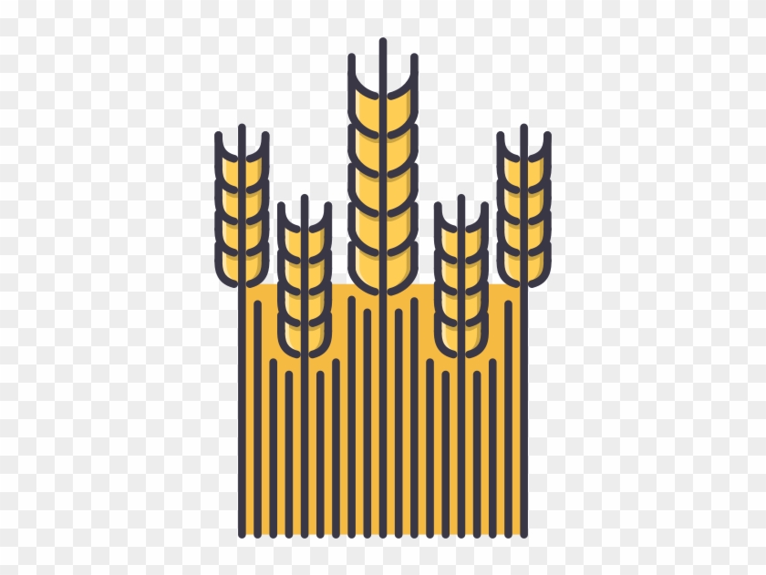 Wheat Vector Design - Agriculture #568114
