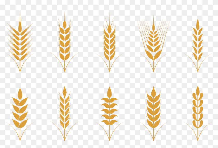 Oat Cereal Wheat Icon - Oat Vector #568127