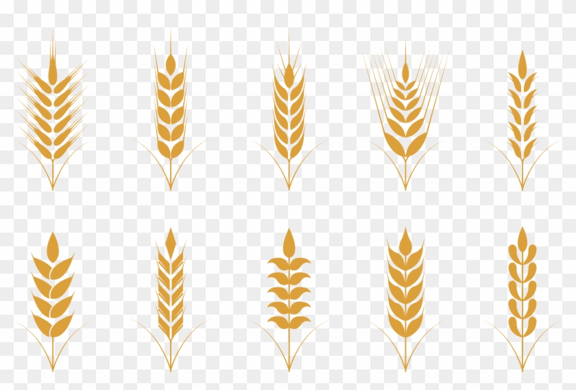 Oat Cereal Wheat Icon - Oat Vector #568127