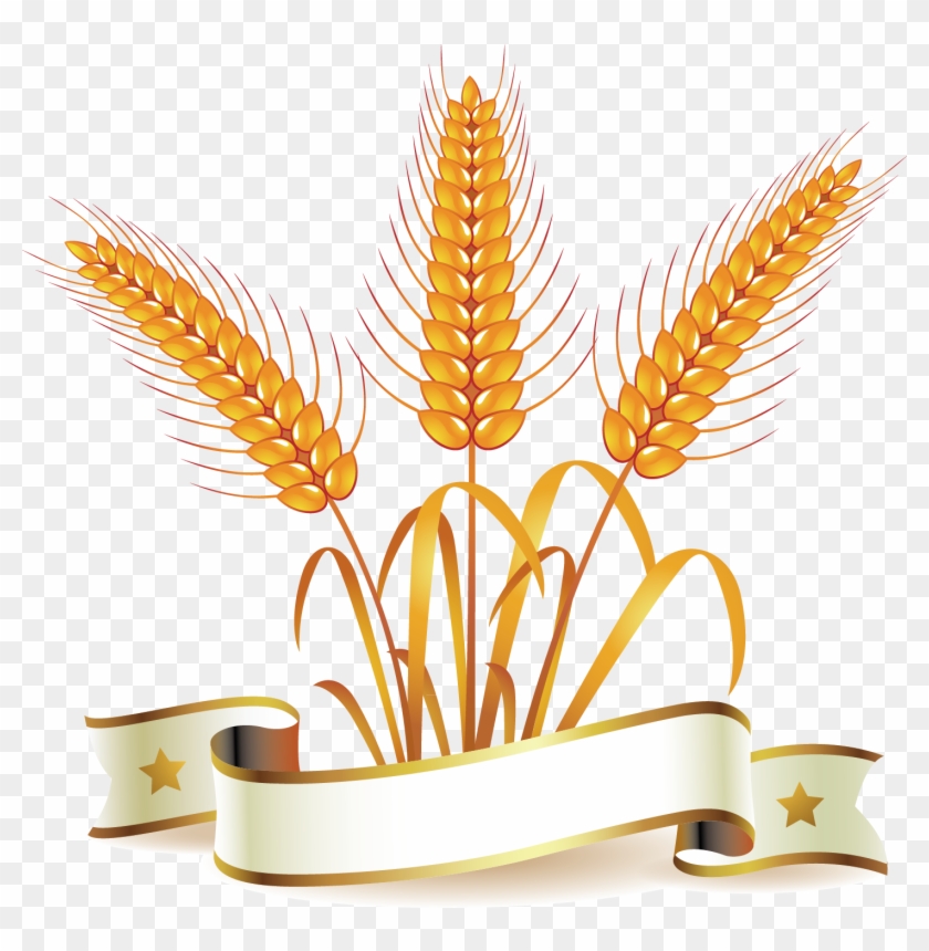 Common Wheat Whole Wheat Bread Clip Art - Bread #568162