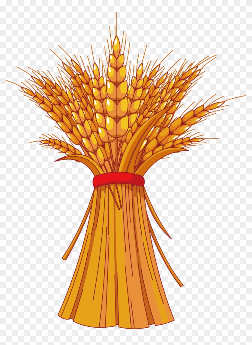 Harvest Festival Autumn Free Content Clip Art - Wheat Clip Art #568165