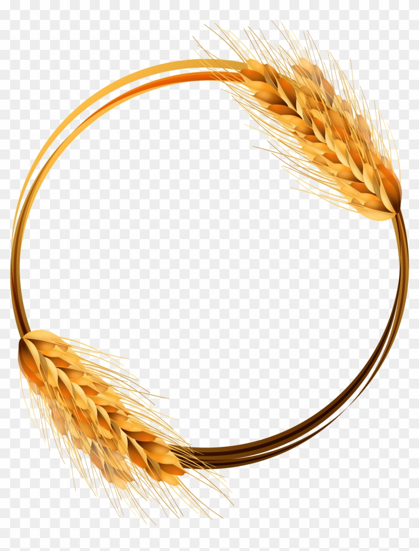 Common Wheat Ear Crop - Wheat Circle Vector Png #568171