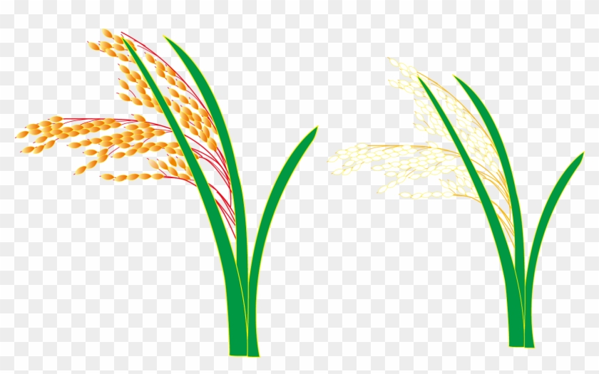 Logo Grasses Leaf Plant Stem Font - Grasses #568243