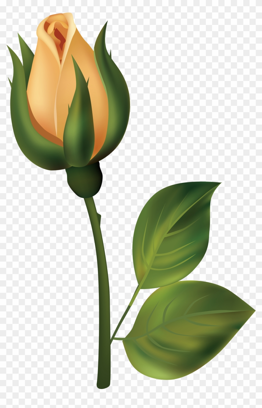 Bud Clipart Rose Bud - White Rose Bud Png #568602