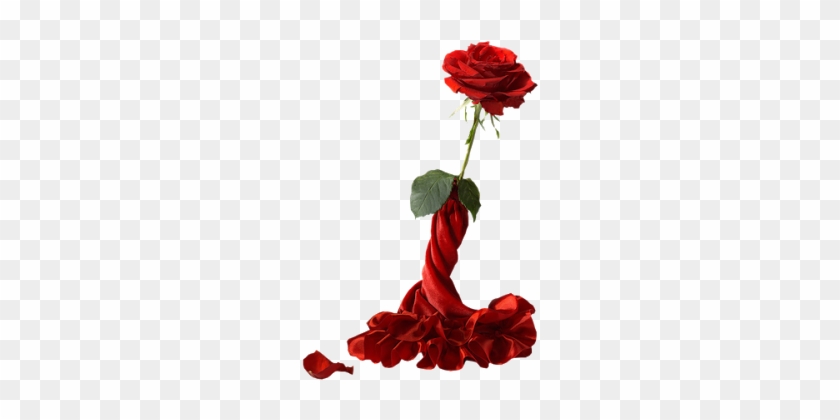 Roses For Jonghyun Transparent Background #568608