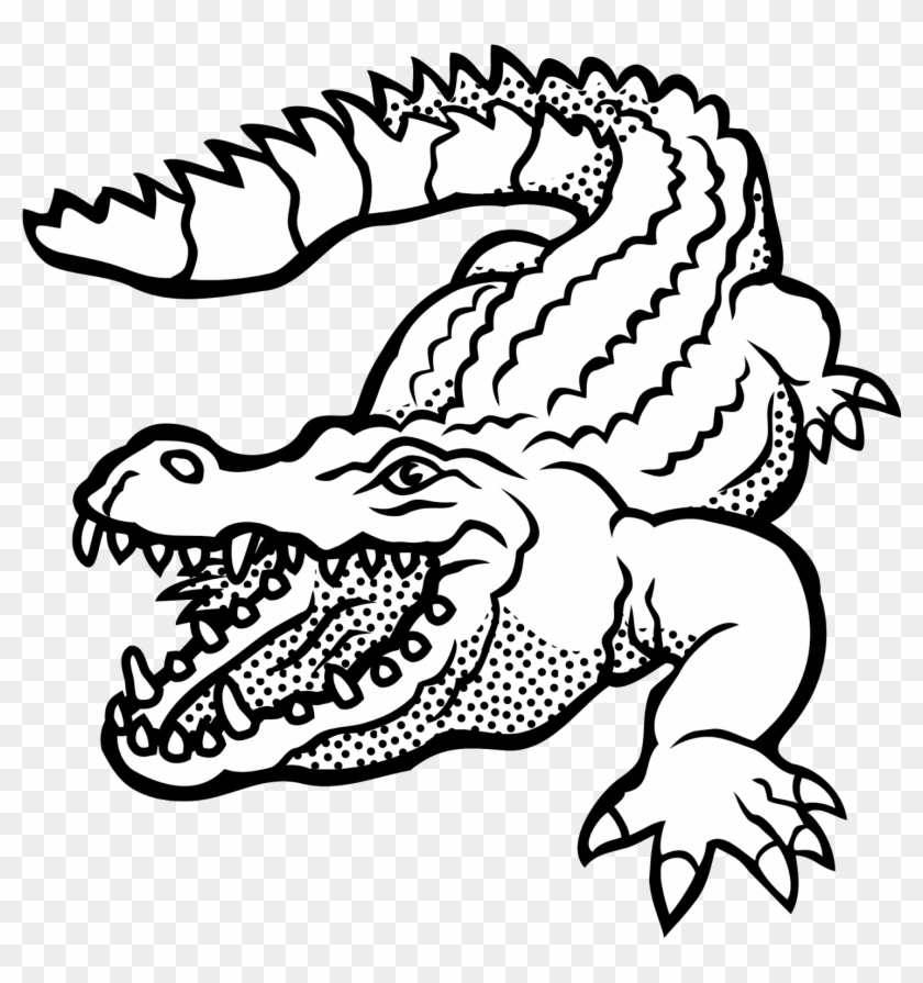 Clip Art Details - Alligator Clipart Black And White #569056