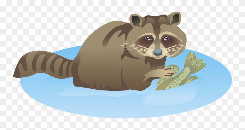 Fishing Clipart Raccoon - Raccoon #569156