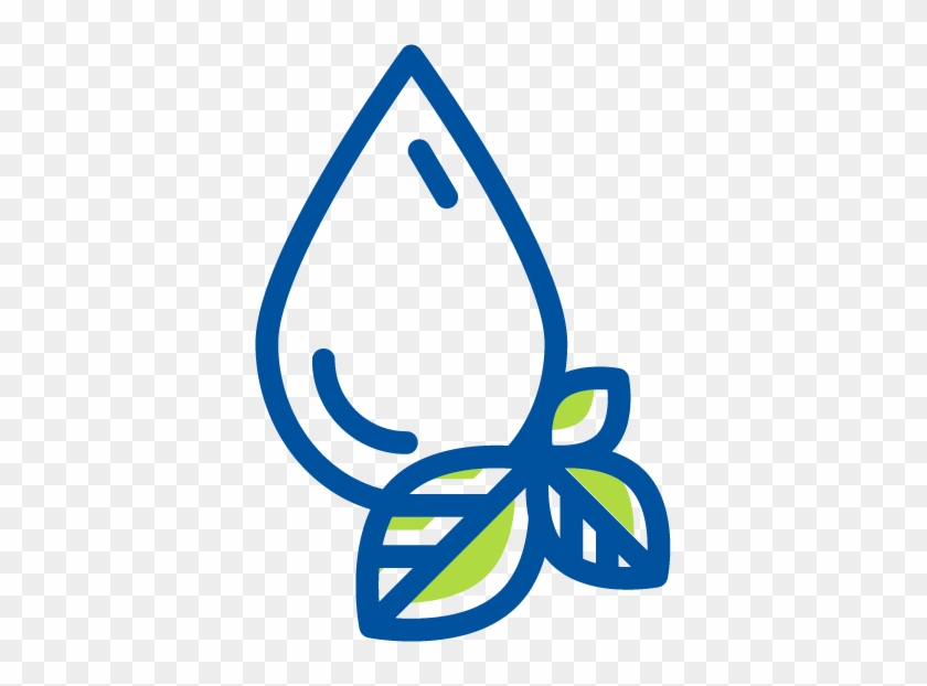 Icn Leaf - Leaf #569189