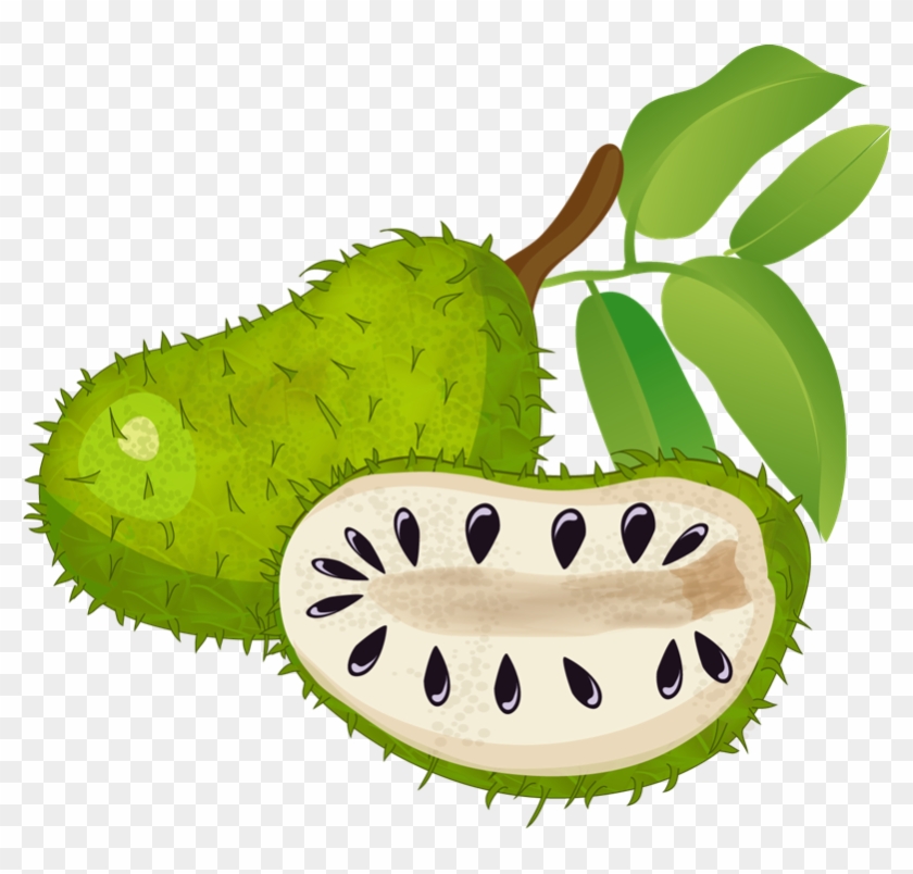 Free To Use & Public Domain Fruits Clip - Health Benefits Of Soursop #569195
