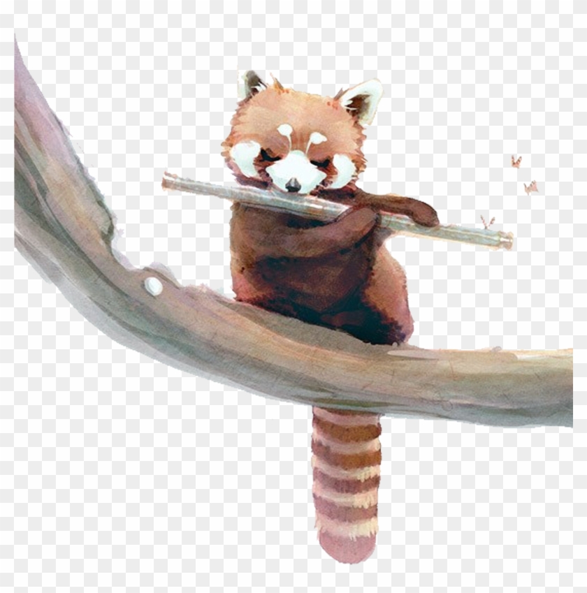 Red Panda Giant Panda Raccoon Watercolor Painting Squirrel - Red Panda Giant Panda Raccoon Watercolor Painting Squirrel #569403