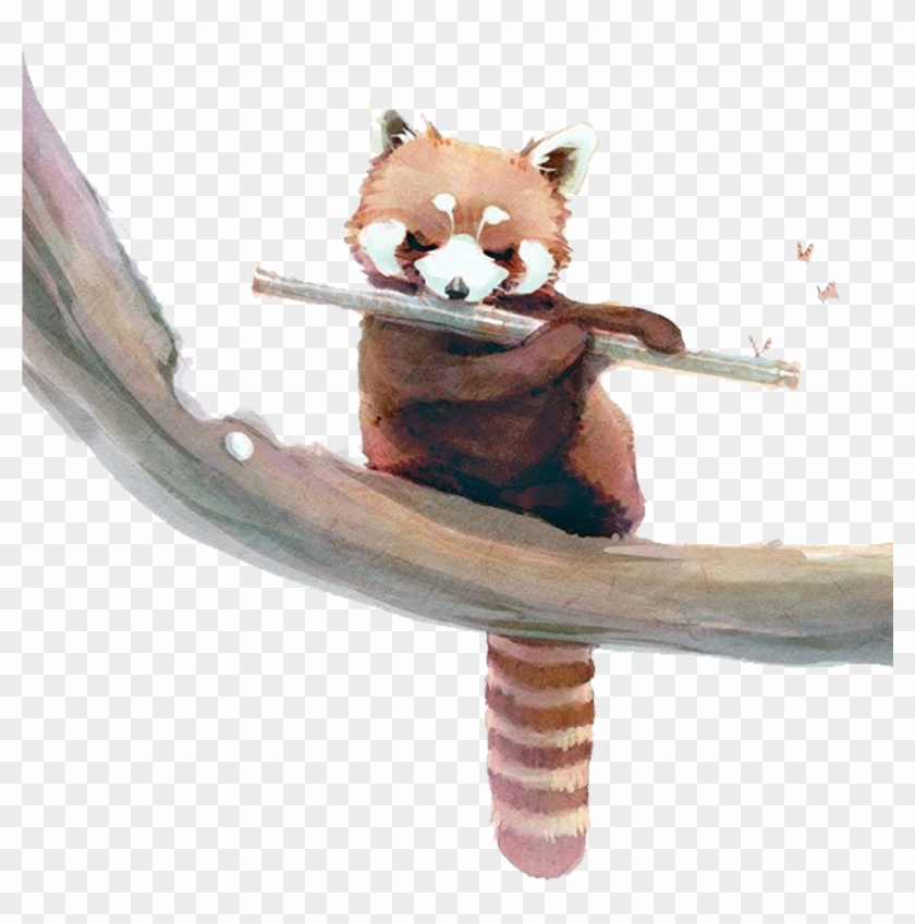 Red Panda Giant Panda Raccoon Watercolor Painting Squirrel Red Panda Giant Panda Raccoon Watercolor Painting Squirrel Free Transparent Png Clipart Images Download