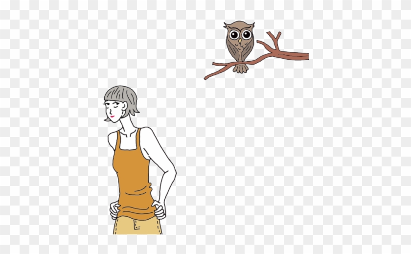 Owl - Owl #569548