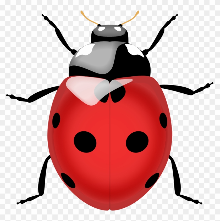 True Bug Png Pic - Ladybug Png #569602