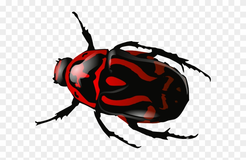 Insect Png Clipart - Black And Red Beetle #569630