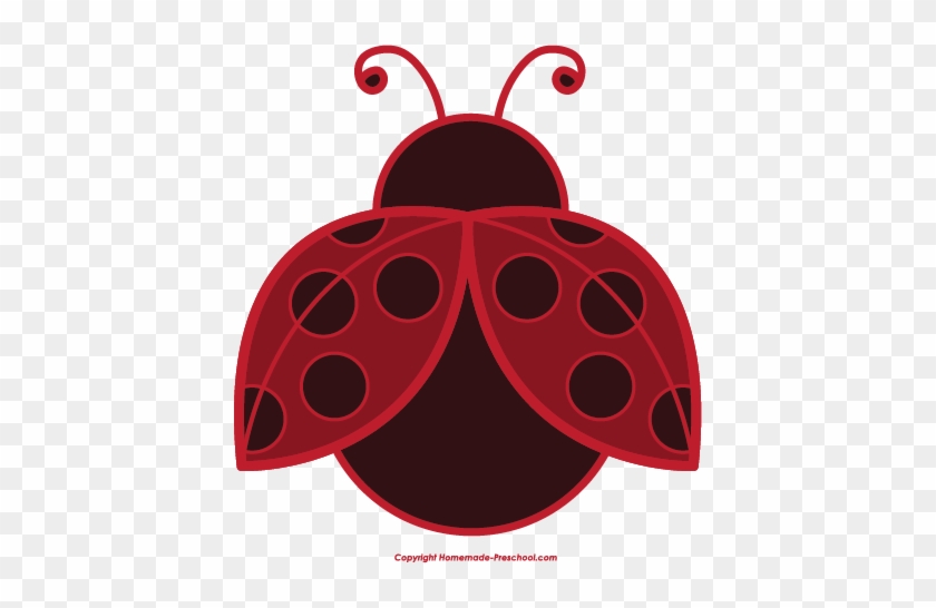 Free Ladybug Clipart - Ladybug #569648