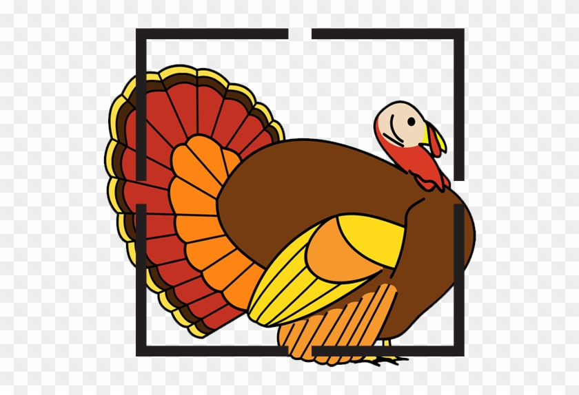 Turkey - Turkey #569669