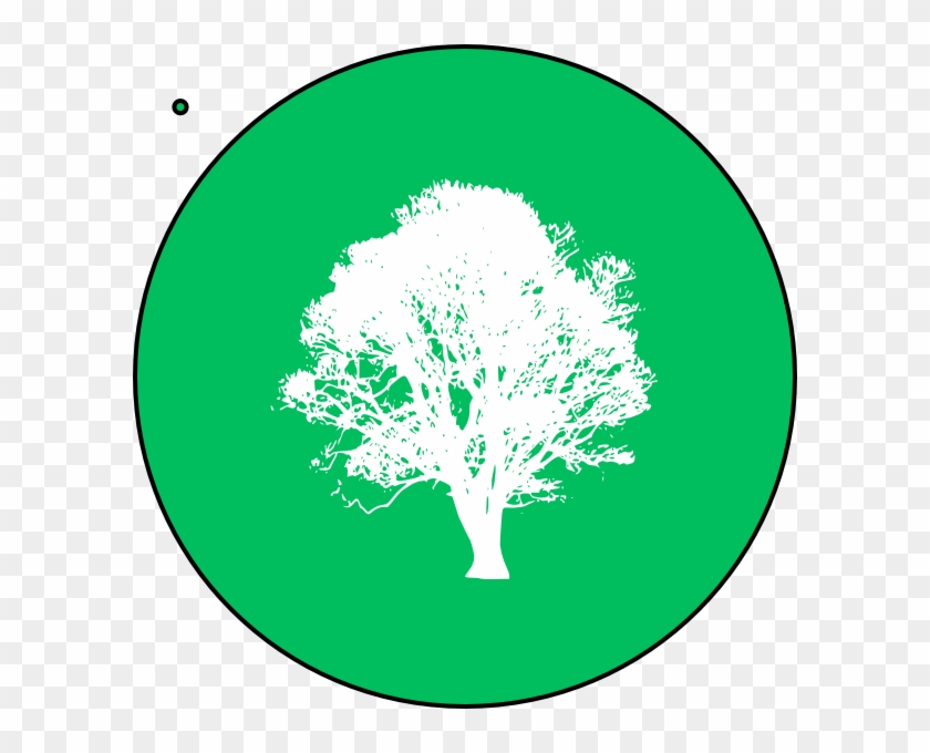 Tree Of Life Sticker #570392