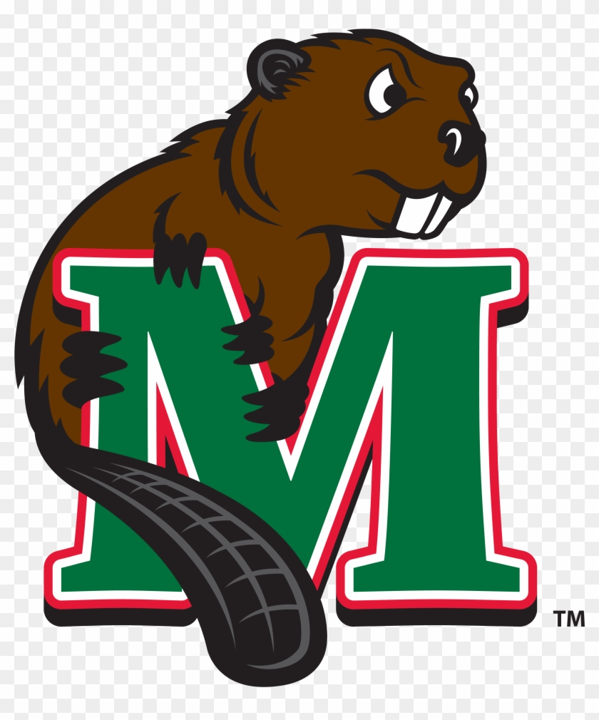 Minot State Baseball Scores, Results, Schedule, Roster - Minot State University Mascot #570560