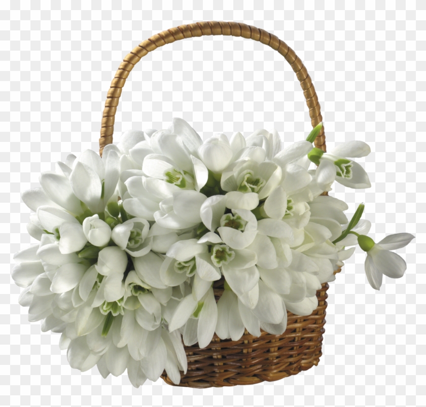 Snowdrop Clipart Yopriceville - Basket With Flowers Png #570865