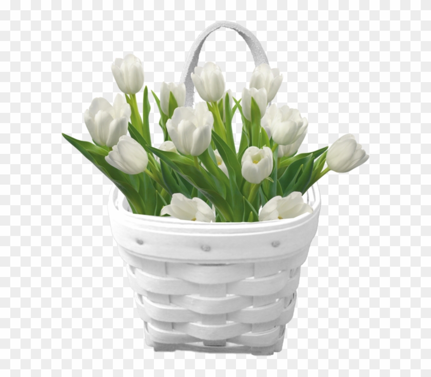 Tulip Clipart Basket - White Flower Basket Png #570876