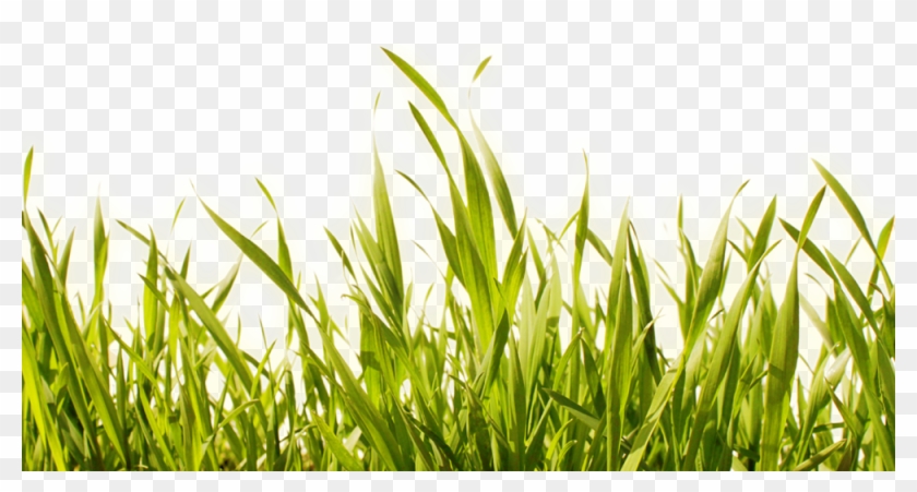 So Wird Aus Wind Strom - Einfacher Leben - Ein Praktischer Ratgeber Zur Konsumreduzierung #570893