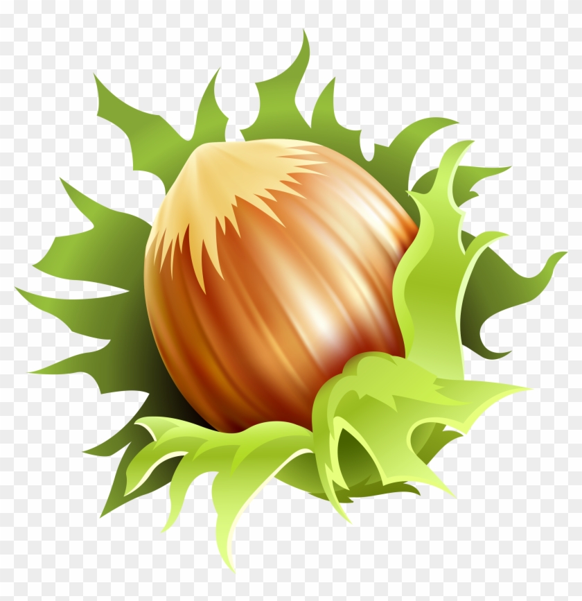 Hazelnut Clipart - Noisette Clipart #570930