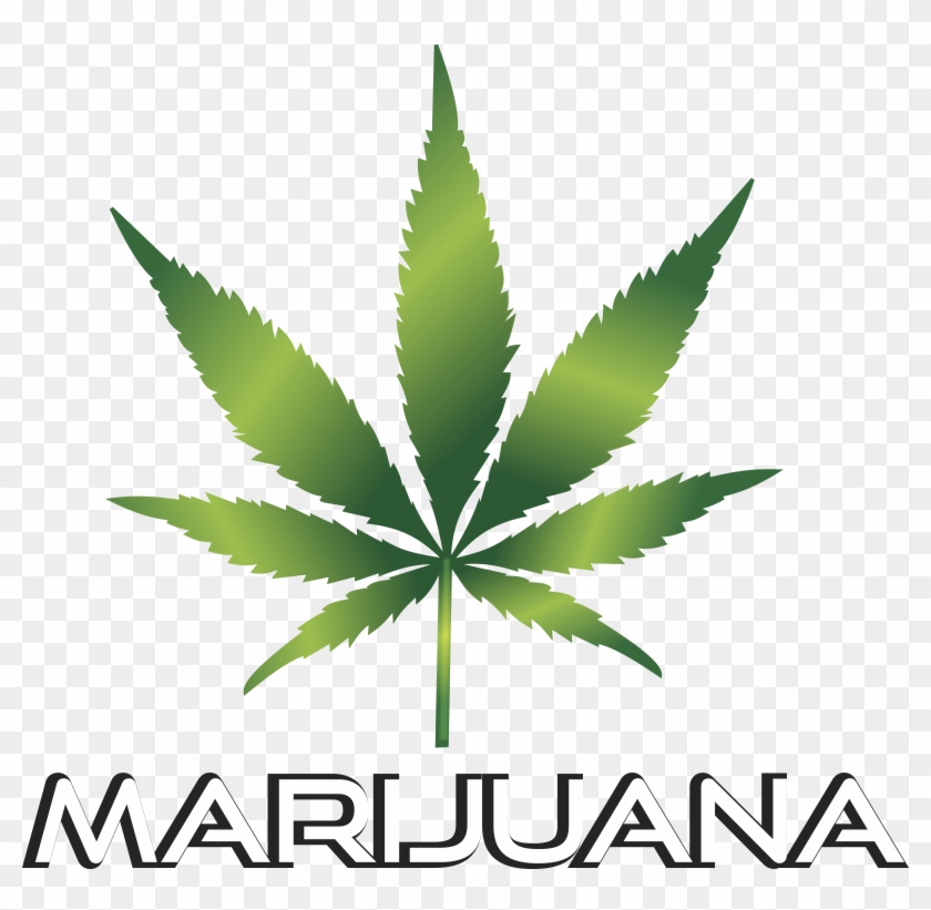 Free Clipart Of A Marijuana Leaf - Weed Clip Art #570936
