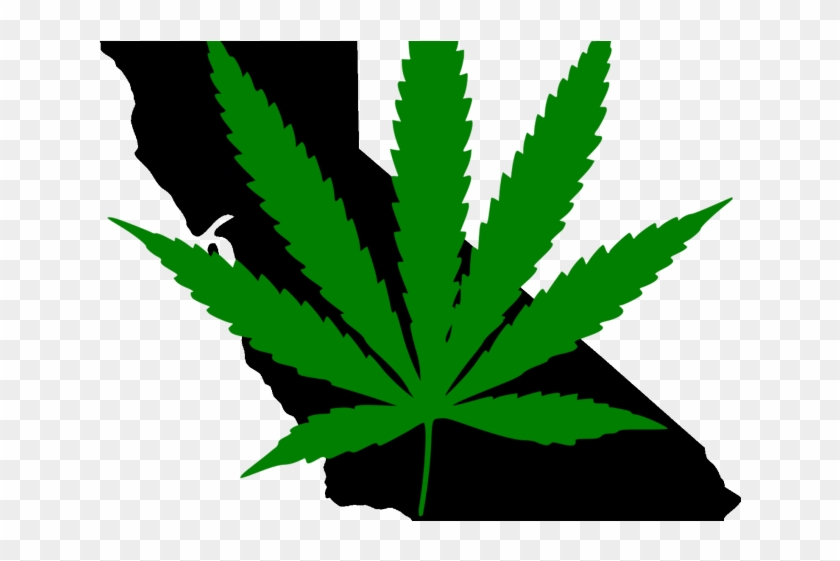 Marijuana Pot Leaf Car Or Truck Window Laptop Decal #571101