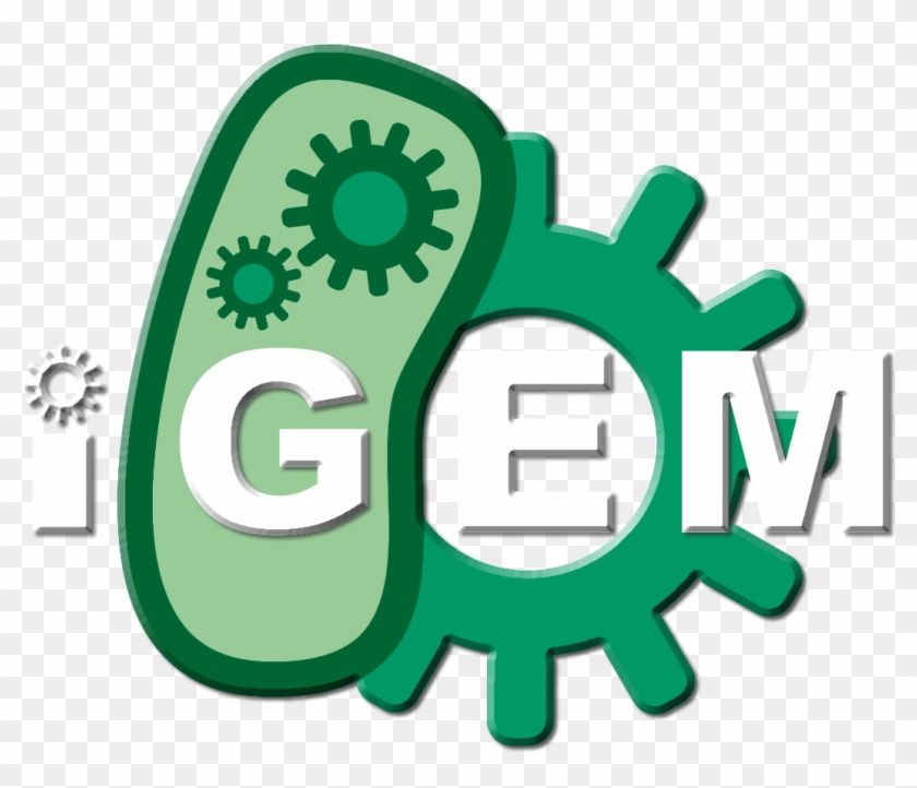 Team - Cork Ireland/project - International Genetically Engineered ...