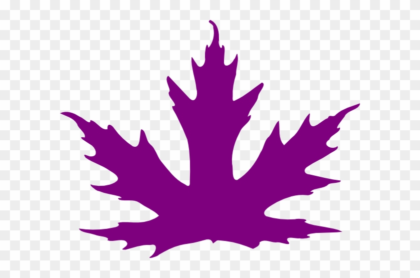 Clip Art Purple Leaves - Purple Maple Leaf Clipart #571630