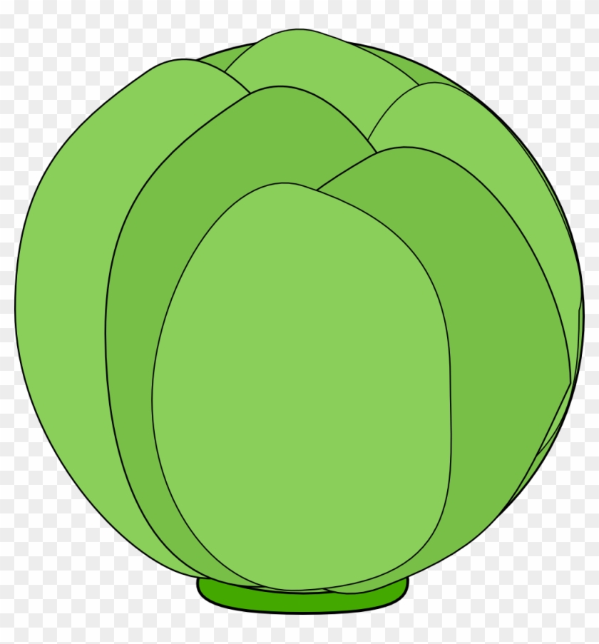 Cabbage - Clipart - Cabbage Clip Art #571979
